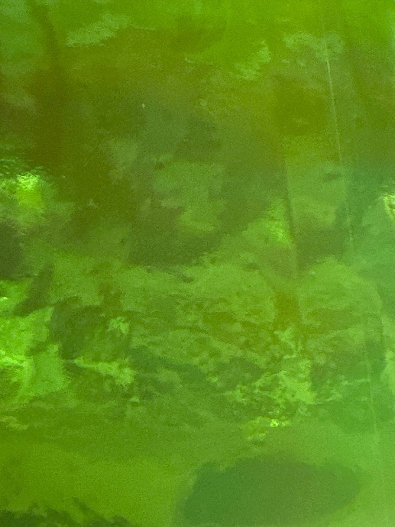 Glass Foil Folie 2