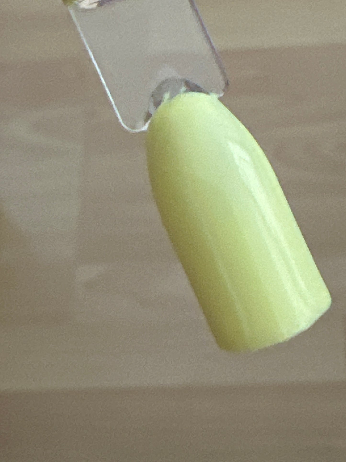 Gel Farbe 5ml | Popcorn Nr. 204