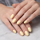Gel Farbe 5ml | Popcorn Nr. 204