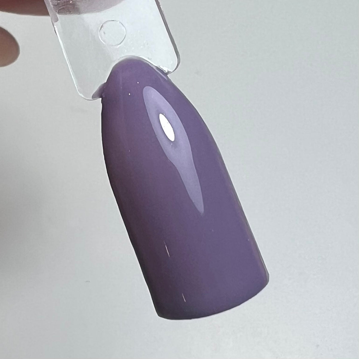 Gel Farbe 5ml | Lavender Love