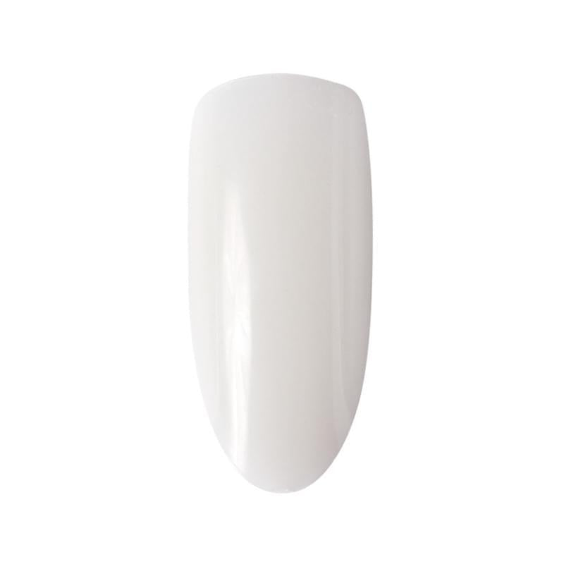 Tips oval für Desings 50 Stk.