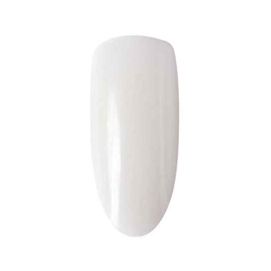 Tips oval für Desings 50 Stk.