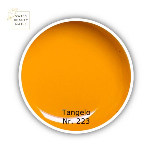 New Color Gel 223 Tangelo | 5ml
