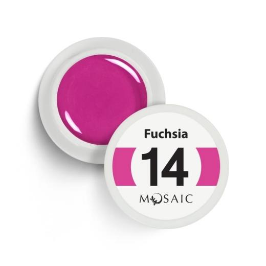 Fuchsia Nr. 14 | 5ml