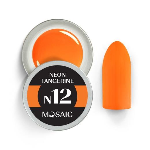 Neon Tangerine 5ml N12