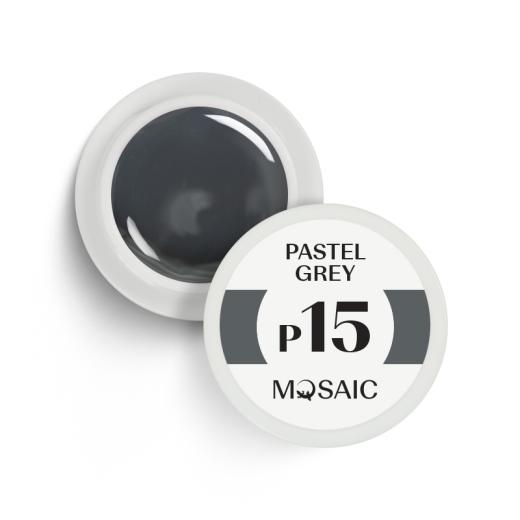Pastel Grey P15 | 5ml