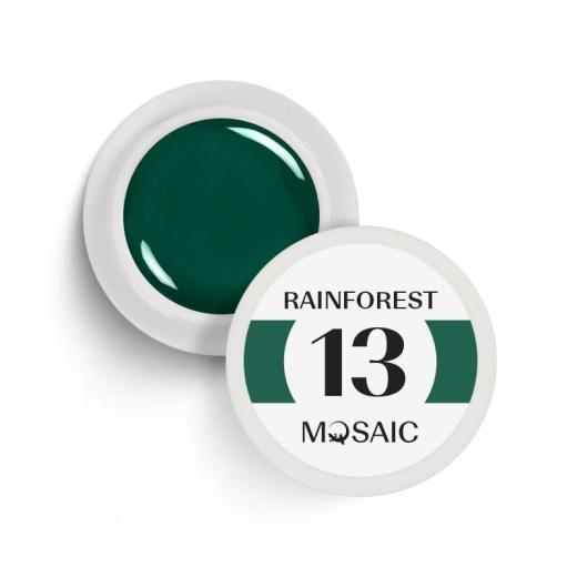 Rainforest Nr. 13 | 5ml